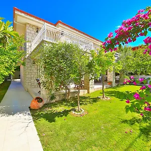 Hotel Sorf